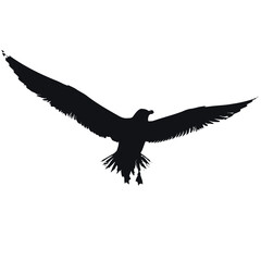 Naklejka premium Solid black silhouette of a seagull flying, vector EPS