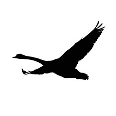 Solid black silhouette of a swan gliding, vector EPS