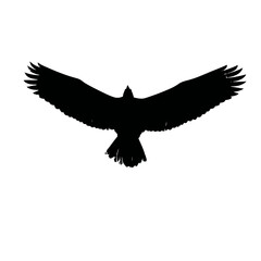 Obraz premium Solid black silhouette of an eagle flying, vector EPS