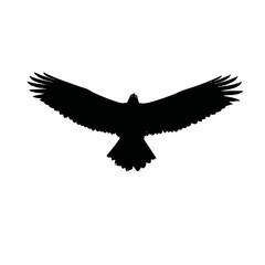 Obraz premium Solid black silhouette of an eagle flying, vector EPS