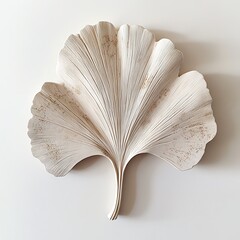 Ginkgo leaf, white isolated background.