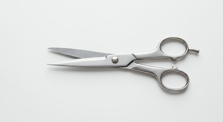 Obraz premium Hairdressing scissors on white background