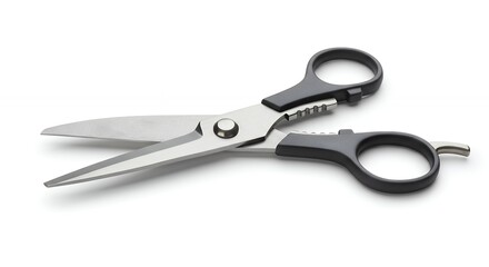 Obraz premium High resolution stainless steel kitchen shears