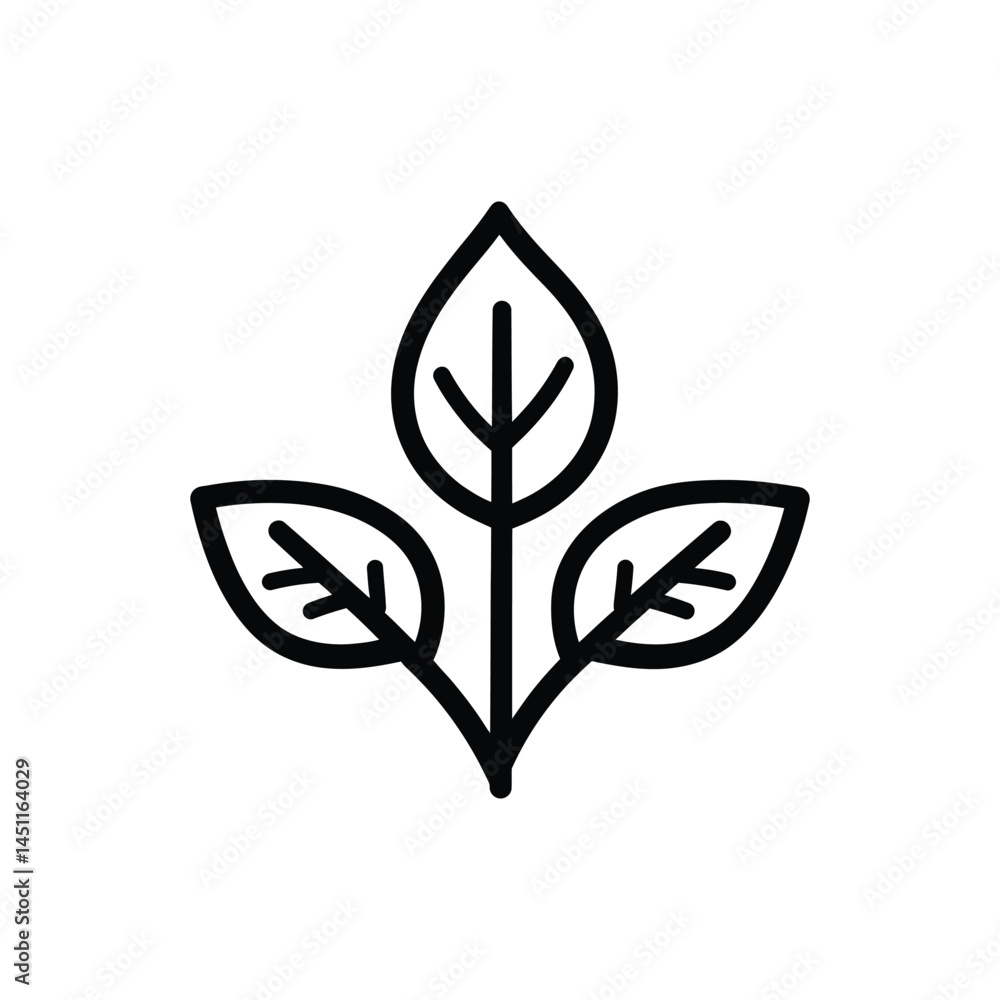 Poster simple leaf icon with three leaves in line art style on transparent background