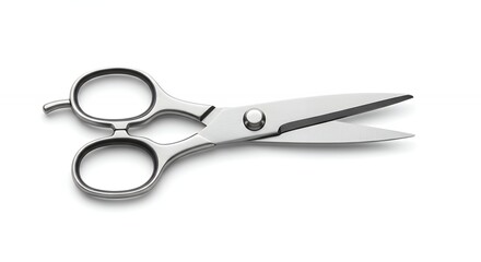 Professional kitchen shears isolated on white background