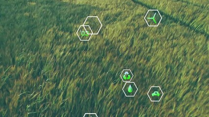Digital hexagon eco-icons floating over green grass meadow showing sustainable energy and growth - Powered by Adobe