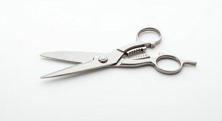 Obraz premium Stainless steel kitchen shears isolated