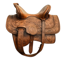A brown leather saddle with a gold buckle