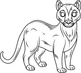 Fossa hand drawn vector