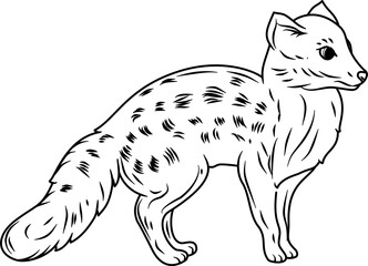 Malagasy hand drawn vector