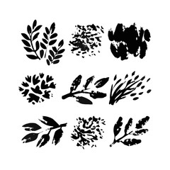 Monochrome Floral Illustration Pattern With Leaves And Buds In Artistic Arrangement On Black
