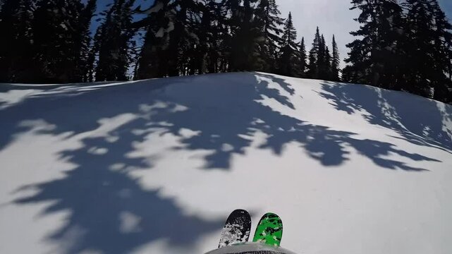 POV of skiing down a snowy slope, with snow flying and skis visible. Tall pine trees line the path, creating a scenic winter landscape for skiing.