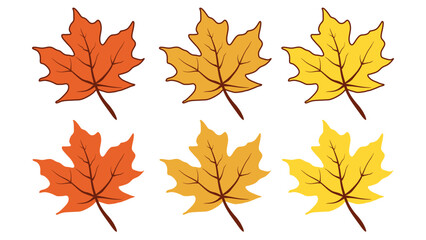 Obraz premium Maple leaf texture pattern background.