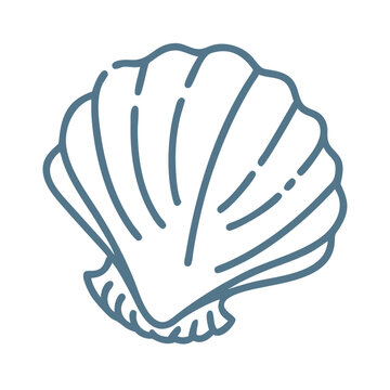 Simple Seashell Outline Vector Illustration