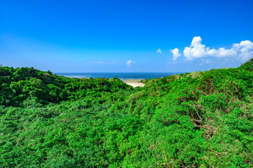  自然のままの絶景が広がる石垣島の風景　海が見える景色