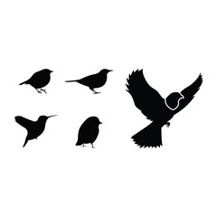 Silhouette Collection of Small Birds and Flying Bird, Minimalist Bird Vector Set
