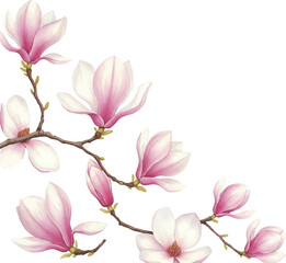 Watercolor Magnolia Branch with Pink and White Flowers