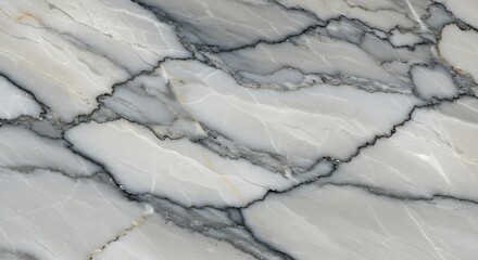 Naklejka premium Veined Serenity: Silver & Stone AI Generated