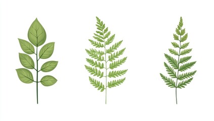 Serene Green Foliage: Simple Botanical Illustration