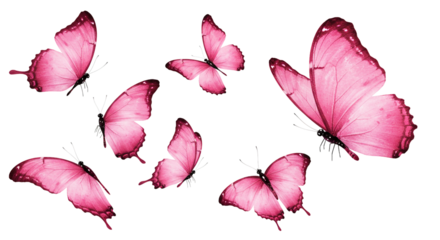 Swarm of Pink Butterflies Isolated Insect Wing Nature Illustration Delicate