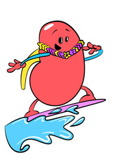 Cute kidney sticker surfing illustration cartoon