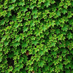 Seamless Oak Tree Camouflage with Mossy Leaves, Tree, Nature