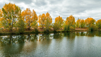 View of Kellands Pond , and its vibrant autumn colour at an arm  of Lake Ruataiwha, Twizel great...