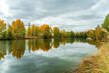 View of Kellands Pond , and its vibrant autumn colour at an arm  of Lake Ruataiwha, Twizel great...