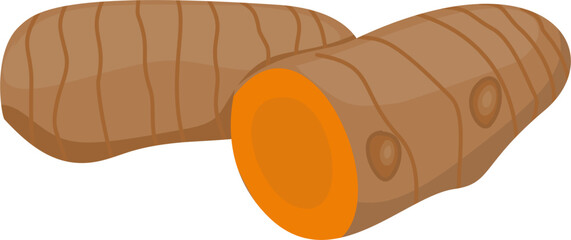 Turmeric and root illustration
