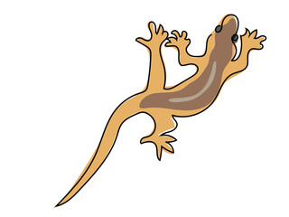 Lizard is in a continuous line, drawing on a white background.