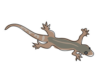 Lizard is in a continuous line, drawing on a white background.