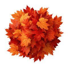 Autumnal Maple Leaf Cluster Vibrant Fall Colors in a Circular Arrangement