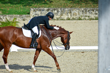 Young woman riding a horse in a dressage competition