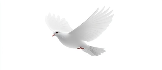Fototapeta premium majestic white dove soaring in graceful flight, symbol of sereni