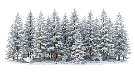 Obraz premium Winter wonderland, majestic snow covered pine forest on white background