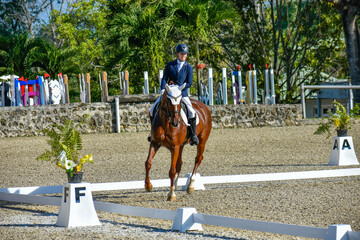 young woman riding a horse in a dressage competition
