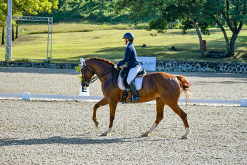 young woman riding a horse in a dressage competition