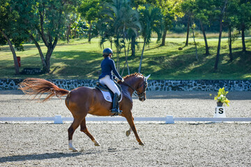 young woman riding a horse in a dressage competition