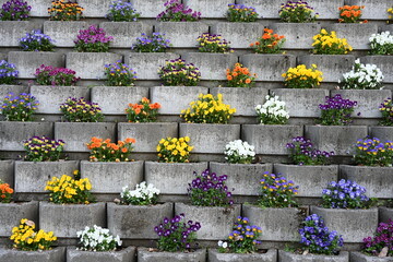 群馬県の老神温泉街の花の街並み