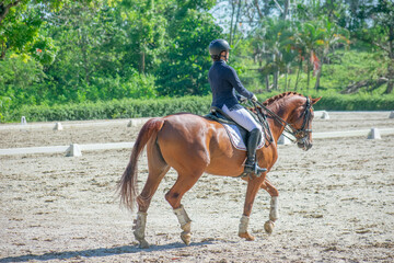 young woman riding a horse in a dressage competition
