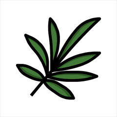 black olives with leaves