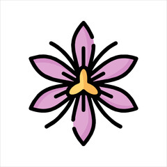 pink flower isolated on white background