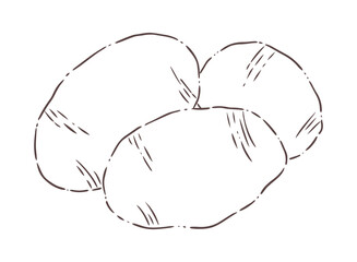 hand drawn illustration of an potato