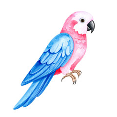 Fototapeta premium Parrot on a white background, spring watercolor illustration, botanical painting