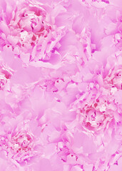 Fototapeta premium Seamless floral background. Flowers peonies and petals peonies. Close up.