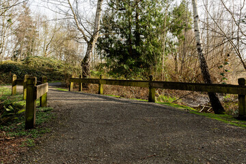 trail with fence in the green park with trees