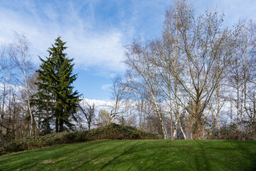 Beautiful spring nature with surrounded by trees green lawn against a blue sky with clouds on a bright spring day.