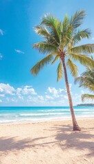 Fototapeta premium Tropical Beach Palm Tree