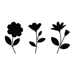 black vector illustration of botanical flower.