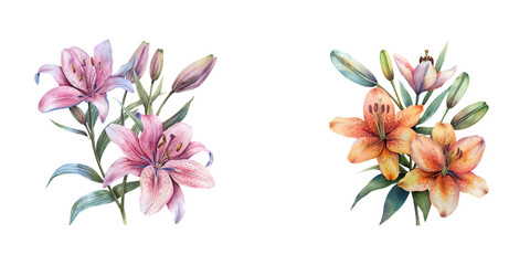 lilies watercolor vector illustration